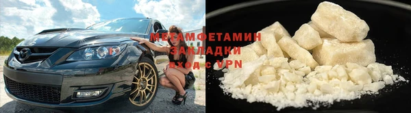 прущие грибы Медногорск