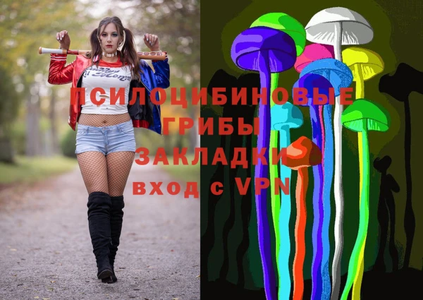 Альфа ПВП Магас