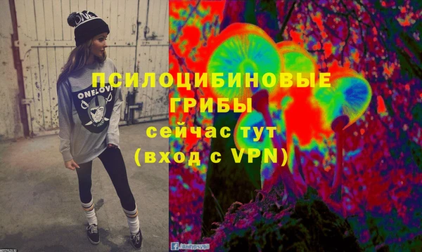 Альфа ПВП Магас
