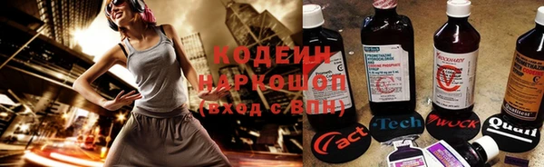дживик Майский