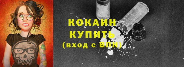 дживик Майский