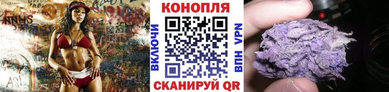 Канабис гибрид Щучье