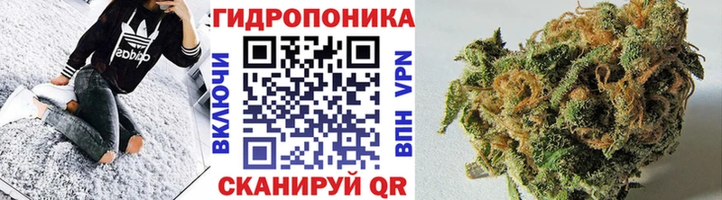 Шишки марихуана гибрид  Купить  Щучье 